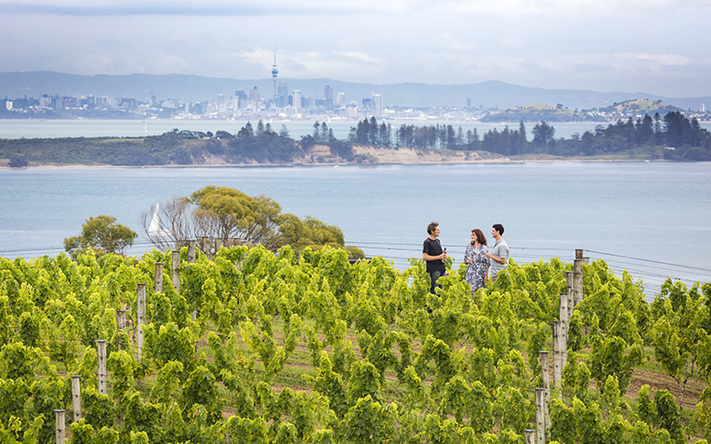 Waiheke Island Auckland Winery