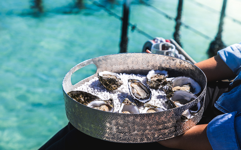 Experience Coffin Bay oyster farm tour