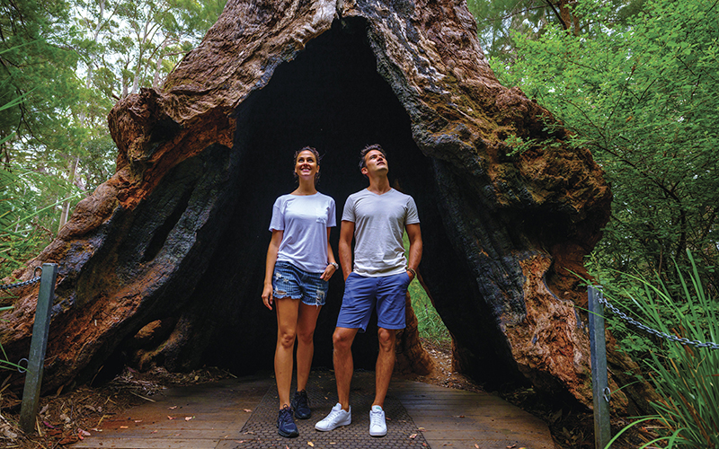 People exploring the tree top walk in Walpole, Albany, Western Australia