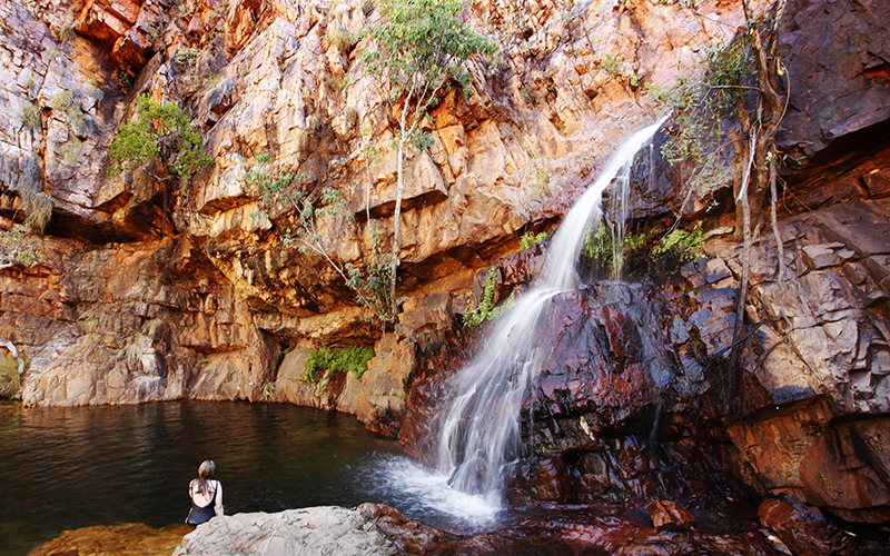 Molly Springs, Kununurra